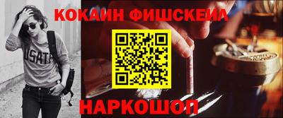 спиды Гатчина