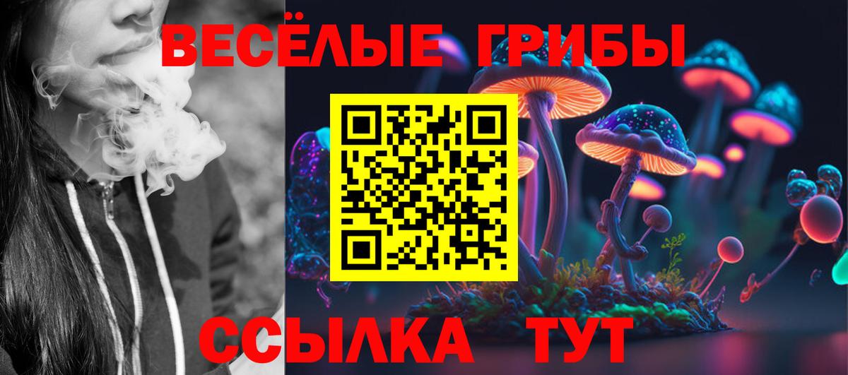 Псилоцибиновые грибы мицелий  Вход с VPN  Ейск 
