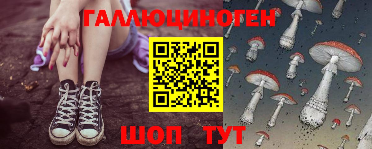 Галлюциногенные грибы Cubensis Ейск