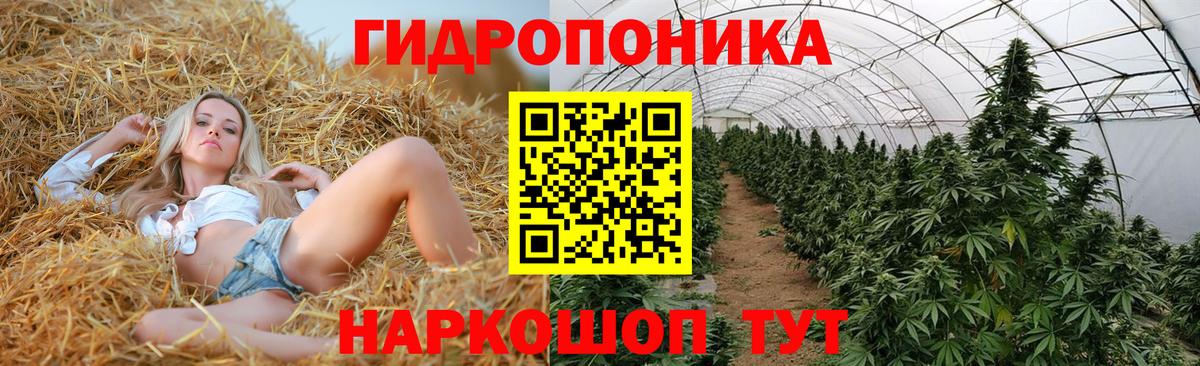 Шишки марихуана MAZAR  Вход с VPN  Канабис White Widow  Ейск 